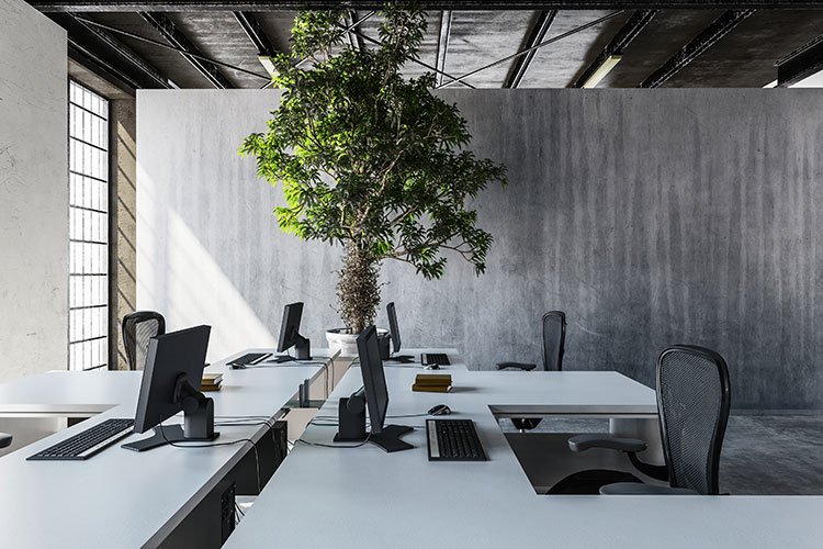 interior of a concrete office with interior design elements