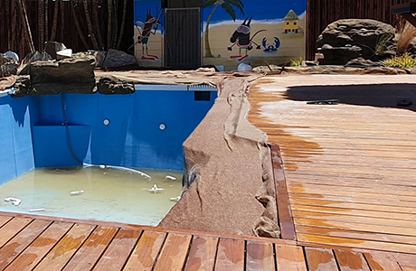 Kalgoorlie decorative concrete pool Kalgoorlie decorative concrete pool